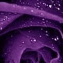 สมาชิกหมายเลข 804563