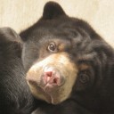 สมาชิกหมายเลข 844830