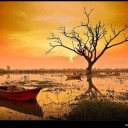 สมาชิกหมายเลข 849233