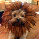 สมาชิกหมายเลข 1266043