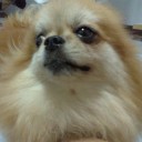 สมาชิกหมายเลข 1692379