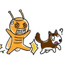 เขยเมืองกาญ