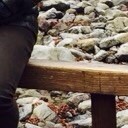 สมาชิกหมายเลข 2504518