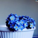 สมาชิกหมายเลข 3345223