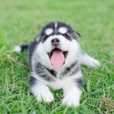 สมาชิกหมายเลข 769889