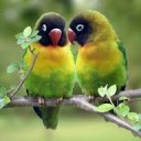 สมาชิกหมายเลข 867786