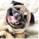 สมาชิกหมายเลข 1266312