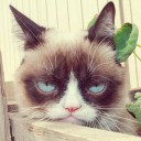 สมาชิกหมายเลข 2114600