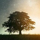 สมาชิกหมายเลข 2504780