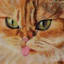 ลูกแมวสีส้ม