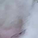 สมาชิกหมายเลข 2115249