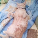 สมาชิกหมายเลข 2115517