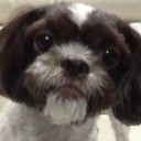 สมาชิกหมายเลข 866862