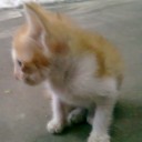 สมาชิกหมายเลข 868562