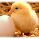 สมาชิกหมายเลข 868640