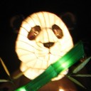 นางสาวรัตติกาล