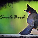 สมาชิกหมายเลข 1266755