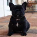 สมาชิกหมายเลข 1267155