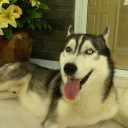 ทำไมวีออสชั้นมันชอบเสีย