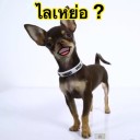 ต้องลอง