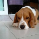 สมาชิกหมายเลข 1268126