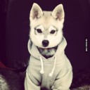 สมาชิกหมายเลข 2116493