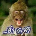สมาชิกหมายเลข 1430810