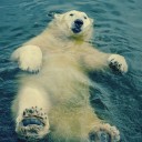 กระโดดไกล