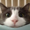 สมาชิกหมายเลข 1268399