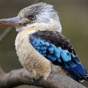 สมาชิกหมายเลข 1277173