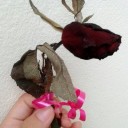 สมาชิกหมายเลข 2327996