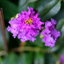 สมาชิกหมายเลข 2973593