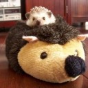 สมาชิกหมายเลข 870016