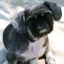 สมาชิกหมายเลข 870385