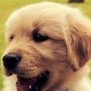 พี่นรากับน้องนภา