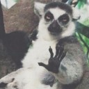 สมาชิกหมายเลข 2117337