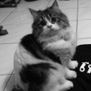 สมาชิกหมายเลข 2508000