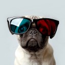 สมาชิกหมายเลข 1355049