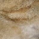 สมาชิกหมายเลข 2377007