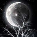 สมาชิกหมายเลข 2909038