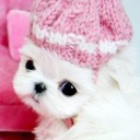 สมาชิกหมายเลข 3277434