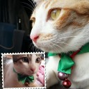 สมาชิกหมายเลข 1269453