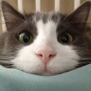 สมาชิกหมายเลข 1269583