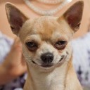 เปิดการ์ดป้องกัน แล้ว