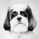 สมาชิกหมายเลข 2909229