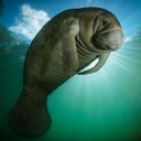 สมาชิกหมายเลข 1265304