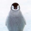 ต้นไม้จิ๋ว