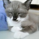 สมาชิกหมายเลข 2508774