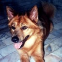 ชีวิตที่ผ่านไป