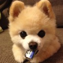 สมาชิกหมายเลข 1095955